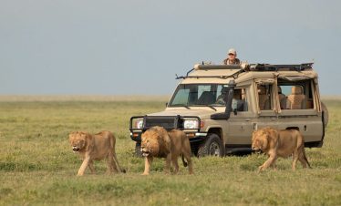 09 DAYS OF ADVENTURE: DISCOVER KENYA AND TANZANIA'S WILDLIFE WONDERS