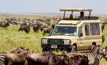 11 DAYS BEST OF KENYA & TANZANIA SAFARI PACKAGE