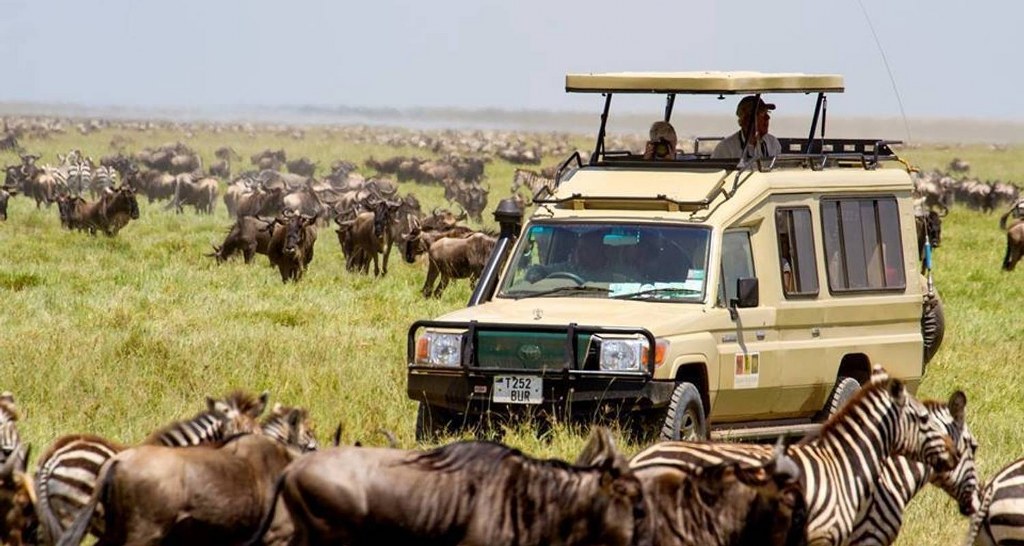11 DAYS BEST OF KENYA & TANZANIA SAFARI PACKAGE
