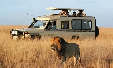 11 DAYS EXCLUSIVE KENYA SAFARI: THE ULTIMATE SAFARI EXPERIENCE