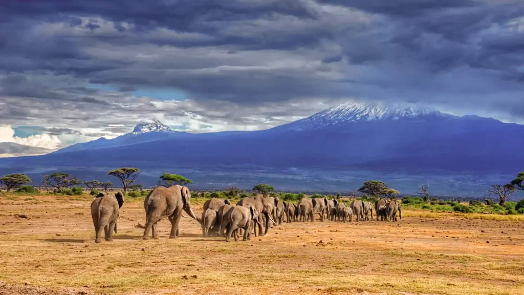 BEST OF 06 DAY TANZANIA SAFARI: TARANGIRE NATIONAL PARK - LAKE MANYARA NATIONAL PARK – SERENGETI NATIONAL PARK - NGORONGORO CRATER ADVENTURE