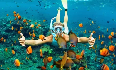 Diani | Diani Short Snorkelling Trip | Book online | PADI Adventures