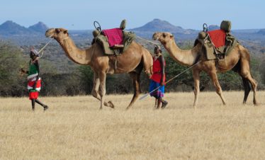 Mobile Walking Safaris — Karisia Walking Safaris