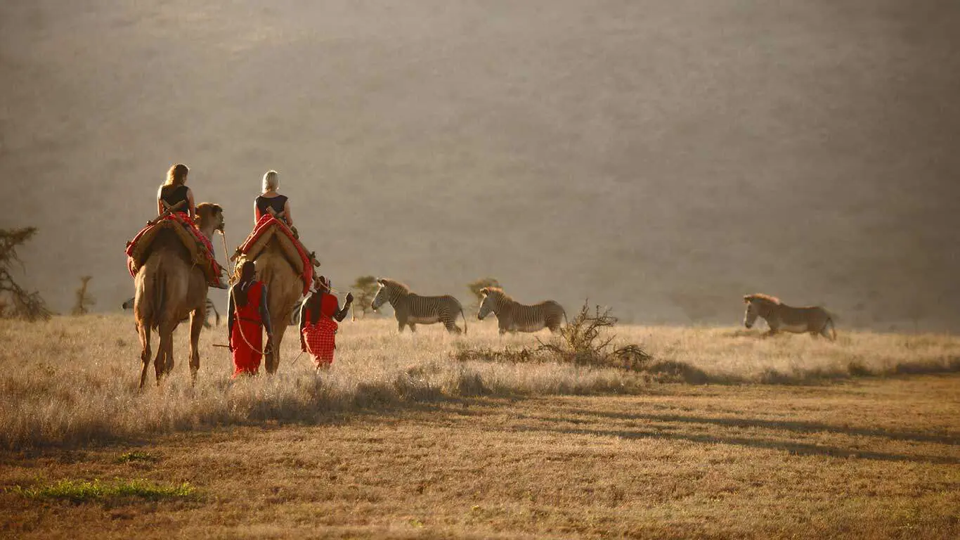 camel-rides-walking-safaris-safari-activities-in-africa-kenya-safaris